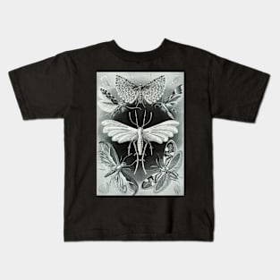 Moth Vintage Botanical Illustration Kids T-Shirt